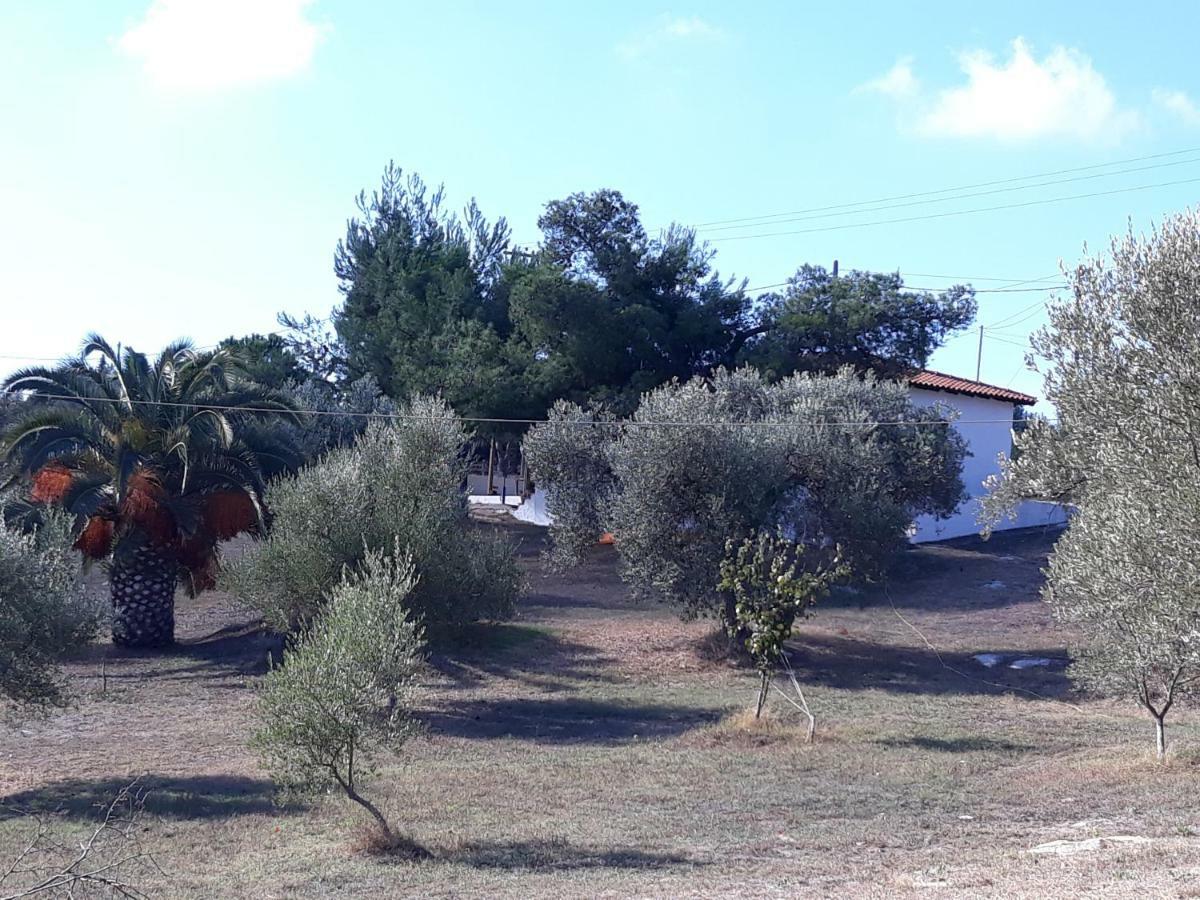 House Lagonisi Ormos Panagias Exterior photo
